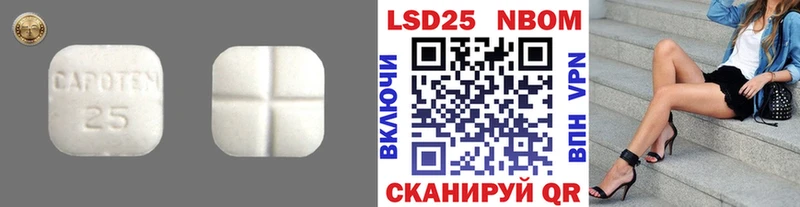купить   Староминская  Лсд 25 экстази кислота 